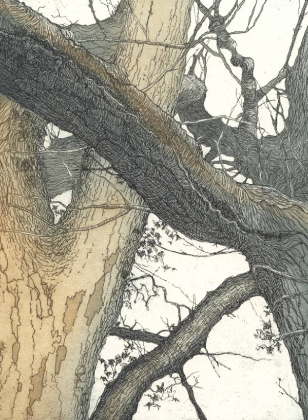 - a , Print by Chrissy Norman, measuring 20 x 15 cm (H x W) framed at 44 x 38 cm £165